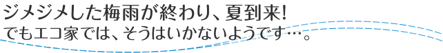 ジメジメした梅雨が終わり、夏到来！でもエコ家は、そうはいかないようです…。