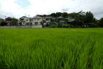 穏やかな田園風景の中に建つK邸。
