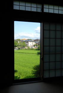 和室の障子を開けると、目のさめるような水田の緑が広がった。