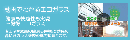 エコガラス商品