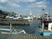 たくさんのヨットが停泊する夏の港。