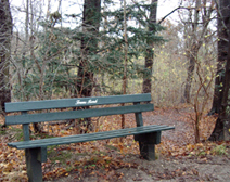 冬の森。人を待つベンチ。