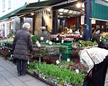 モミの枝の緑の輪を飾ってクリスマスを楽しみに待ちます。花屋の店頭にはクリスマスに飾る花やモミの枝でいっぱい。