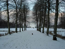 雪と氷に包まれた冬の日の散歩。