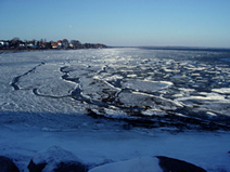 氷点下の日が数週間続いて、海も凍り始めました。
