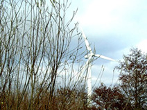 代替エネルギーの利用が普及しているデンマーク。風力発電のほか、ソーラー・パネルの利用も普及してきました。