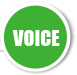 voice