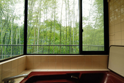 緑いっぱいの浴室エコリフォーム