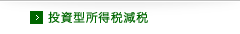 投資型所得税減税