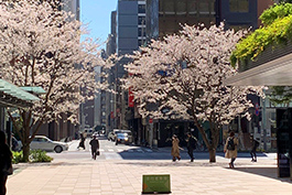 東京　イメージ